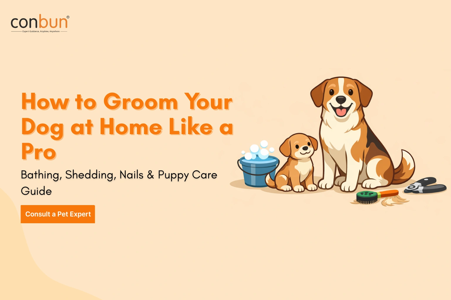 How to Groom Your Dog at Home Like a Pro (Bathing, Shedding, Nails & Puppy Care Guide)